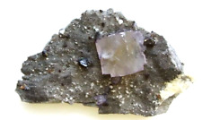 🔎LOOK Fluorite/Sphalerite w/ Quartz & Dolomite (Elmwood Mine, Carthage, TN picture