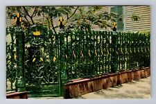 New Orleans LA-Louisiana, Cornstalk Fence, Antique Vintage Souvenir Postcard picture