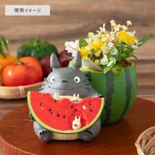Studio Ghibli My Neighbor Totoro Planter Cover from Watermelon field NEW picture