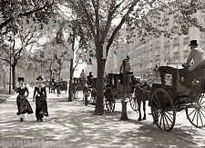 New York City Stylish Gals Street Horse Drawn Hacks around 1900 Vintage photo  picture