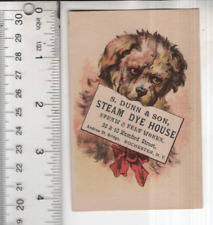 S. Dunn & Son Steam Dye House Puppy Dog Victorian Trade Card 3