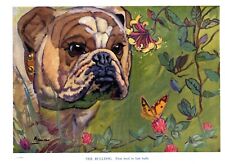 c1950 Vintage Bulldog Print Wall Art Decor Ken Harrow Bulldog Art 5358L picture