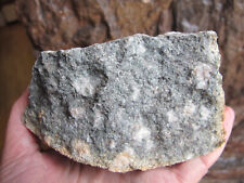 Preseli Bluestone healing Crystal British Rough Raw The Stonehenge Stone 1.4Kilo picture