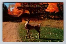 Au Train MI-Michigan, Scenic Greetings, Deer View, Vintage Postcard picture