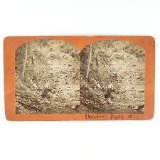 Hayden Falls Park Ohio Stereoview c1874 Dublin Waterfall Picnic Women Card A2701 picture