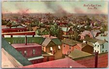 1913 Bird's Eye View Erie Pennsylvania PA Buildings and Houses Posted Postcard picture