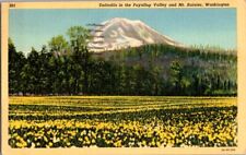 Vintage Postcard Daffodils Puyallup Valley Mt. Rainier WA Washington 1943  L-069 picture