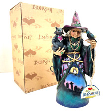 Jim Shore Witchful Thinking Cute Witch Black Cat Crow Halloween figurine 4034433 picture