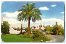 c1950's Camelback Inn Hotel Phoenix Arizona AZ, Cactus Palm Tree Postcard picture