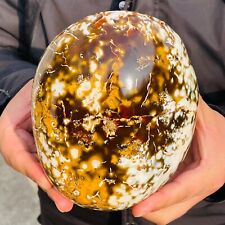 6.34lb Large Natural Colourful Agate Eye Agate Crystal Healing Collection picture