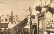 RUSTIC HOTEL LOBBY antique real photo postcard rppc TAXIDERMY MOUNTED GAME c1910 picture