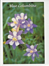 Blue Columbine Colorado State Flower Rocky Mountain Magic Unposted Sleeved GUC picture