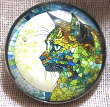 NEW LARGE GLASS DOME PICTURE BUTTON OF A 