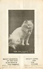 RPPC Postcard Antique 1912 WHITE CAT - HER MAJESTY - Fluffy with Bow - Stamped picture