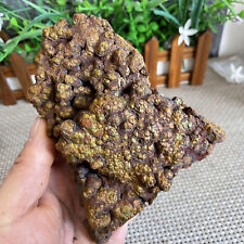 513g Natural limonite mineral samples from Guangdong, China B64 picture