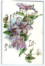 c1910's Greetings From Sumner Iowa IA Unposted Leaves And Flowers Scene Postcard picture