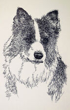 Border Collie Dog Art Portrait Word Drawing #46 Kline adds your dogs name free. picture