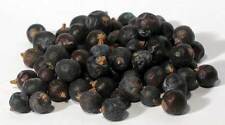 Natural 1 lb Juniper Berries (Juniperus communis) Herbal Health & Ritual Magic picture