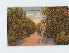 Postcard Orange Time in Florida USA picture