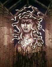 BIG Disney Lenticular Medusa changing picture Disneyland Haunted Mansion Gorgon picture
