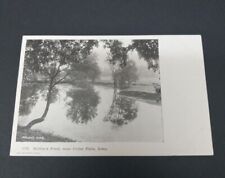 Antique Cedar Falls Iowa Trees Reflect in Mullen's Pond B&W Postcard  picture