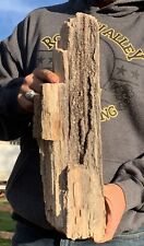 ☘️RR⛏️: Arizona Petrified Wood Log Loaded With Smoky Quartz, 17” picture