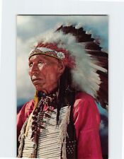 Postcard American Indian Chief picture