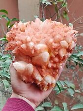 1.5kg Natural Gemstone Orange Dog Tooth Calcite Cluster Mineral Specimen Crystal picture