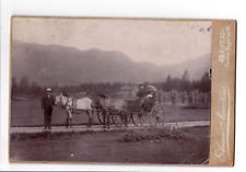 C. 1890s CABINET CARD ANNA NORDLON COUPLE ON HORSE DRAWN CARRIAGE GEFLE SWEDEN picture
