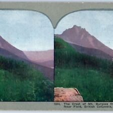 c1900s British Columbia, CA Crest of Mt. Burgess Yoho Litho Photo Stereo Card V9 picture