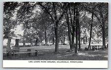 1930s SELLERSVILLE PENNSYLVANIA PA LAKE LENAPE PICNIC GROUNDS POSTCARD P4167 picture
