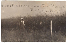 RPPC R L Kelly Photo Sweet Clover near Fort Pierre S Dakota Famous Photographer picture