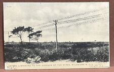 Postcard ~ BIRDS LISTENING TO THE MESSAGE of the WIRES ~ WILDWOOD NJ ~ UDB ~ VG+ picture