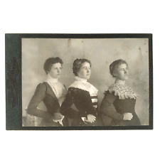 Lisbon North Dakota Cabinet Card c1885 Named Women with Hand on Hips Photo C3340 picture