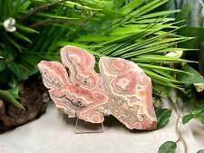 Large Rhodochrosite With Pyrite Specimen Slab with Stand Australian Seller picture