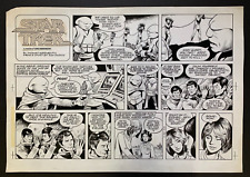 STAR TREK original 1980 Sunday strip comic art by THOMAS WARKENTIN. Durkin story picture