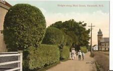 Yarmouth Nova Scotia Hedges Along Main Street Vintage Postcard C18 picture
