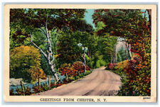 1948 Road Scene Greetings from Chester New York NY Posted Vintage Postcard picture