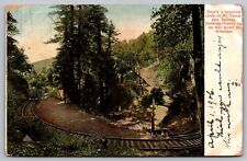 Mount Tamalpais Railway Gravity Car Mountain Railroad Forest Vintage PM Postcard picture