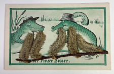 1911 Postcard Alligator Love at First Sight Comic Humor Artist Signed WOB DB picture