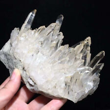 474g  Rare Natural Clear Quartz Cluster Mineral Specimen Crystal Energy Decor picture