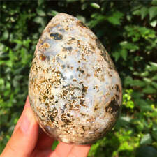 RARE 729g Natural Colorful RARE Polished Ocean Jasper Crystal Egg  F11 picture
