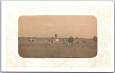 Cattles In The Greener Pastures Antique Postcard picture