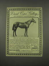 1949 David Cope Ltd.  Ad - Gallery of Famous Racehorses Sunstar (1908) picture