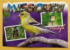 Postcard MO. Missouri wildlife  picture