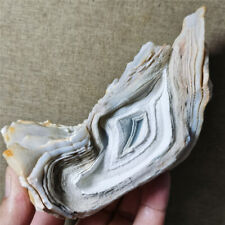 511g Bonsai Suiseki-Natural Gobi Agate Eyes Stone-Rare Stunning Viewing  D192 picture