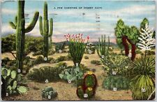 1949 A Few Varieties Of Desert Cacti 14 Species Posted Postcard picture