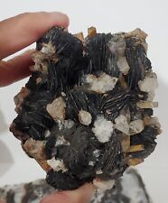 Specular Hematite (Specularite) on Black Desert Rose Matrix 524g picture