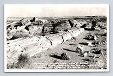 FRASHERS RPPC Petrified Conifer Trees Petrified Forest Natl Monument AZ Postcard picture