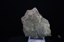 Marcasite / 9.2oz Mineral Specimen / Vierves-sur-Viroin, Belgium picture